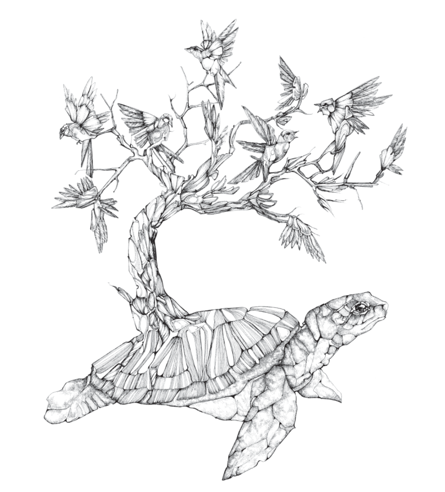 My Mechanical Birds Drawn With Ink