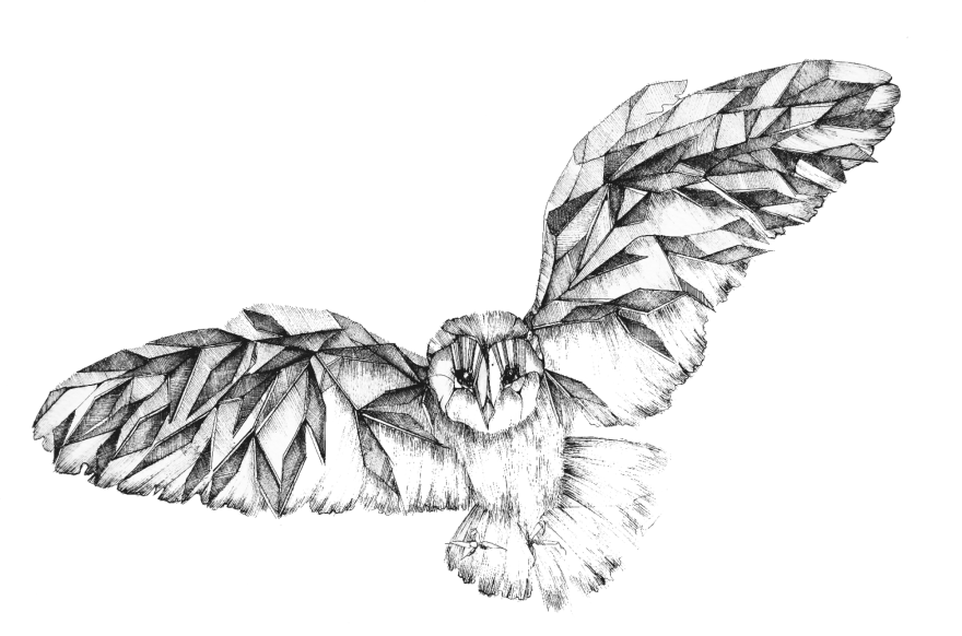 My Mechanical Birds Drawn With Ink