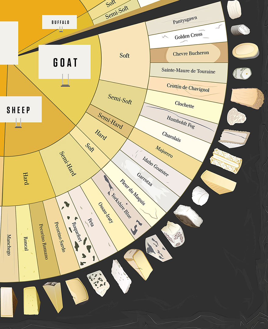 Our Cheese Wheel Chart Has 65 Delightful Cheeses From Around The World Our Cheese Wheel Chart Has 65 Delightful Cheeses From Around The World