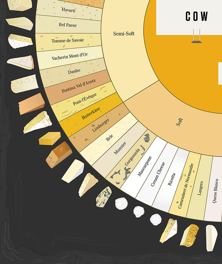 Our Cheese Wheel Chart Has 65 Delightful Cheeses From Around The World Our Cheese Wheel Chart Has 65 Delightful Cheeses From Around The World