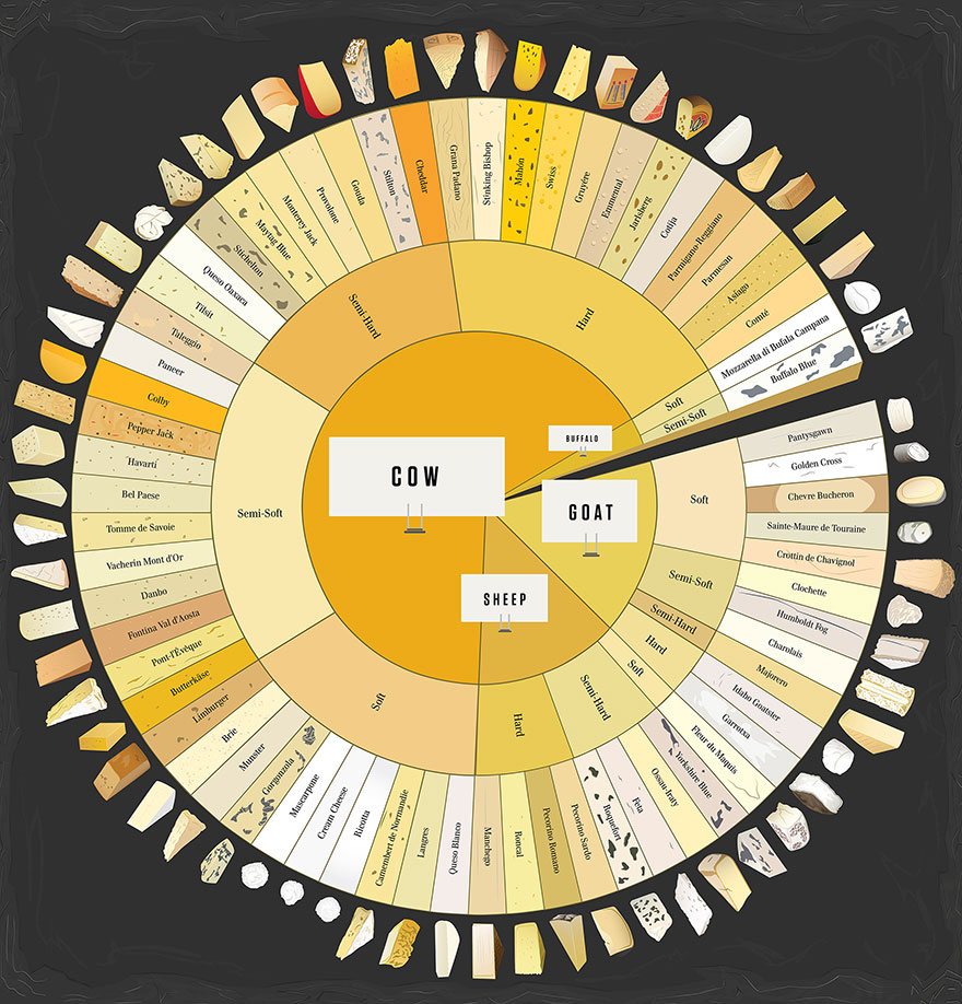 Our Cheese Wheel Chart Has 65 Delightful Cheeses From Around The World