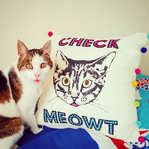 Timmy Adopted At 15 Now 18 !!