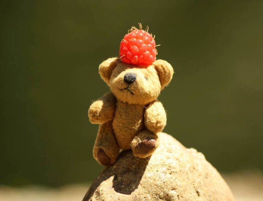 Turbo Bear Explores His Little World