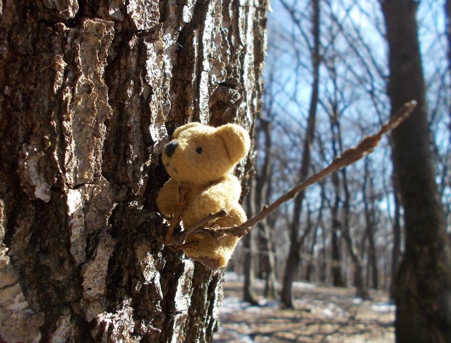 Turbo Bear Explores His Little World