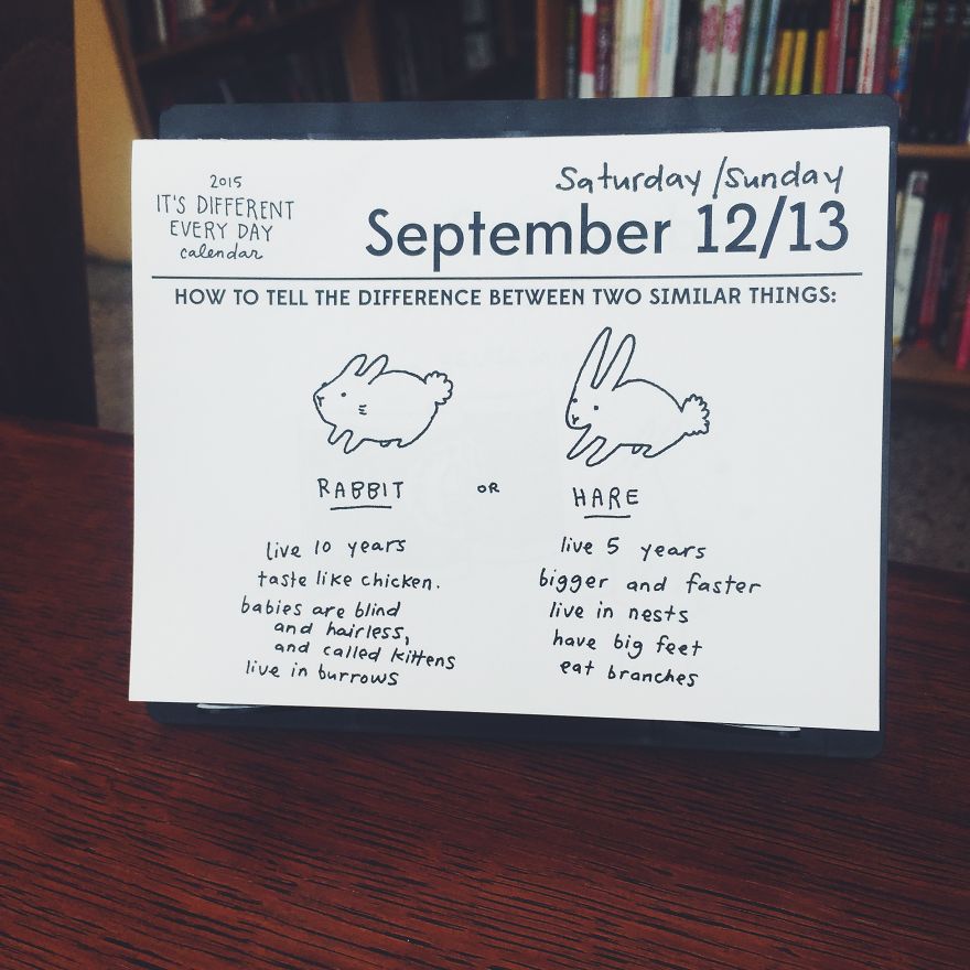 Two Portland Artists Made A Daily Calendar That Changes Every Day Two Portland Artists Made A Daily Calendar That Changes Every Day