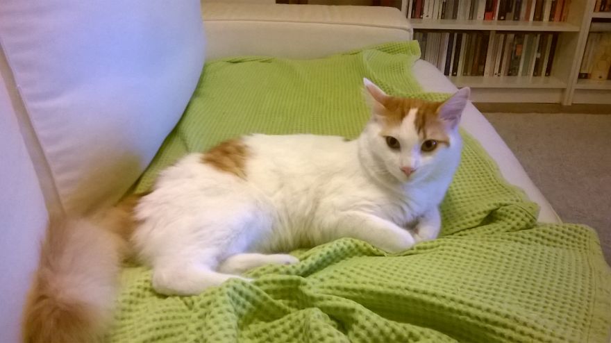 "i Don't Like Hard Cover Much, Not Easy To Handle." Badem