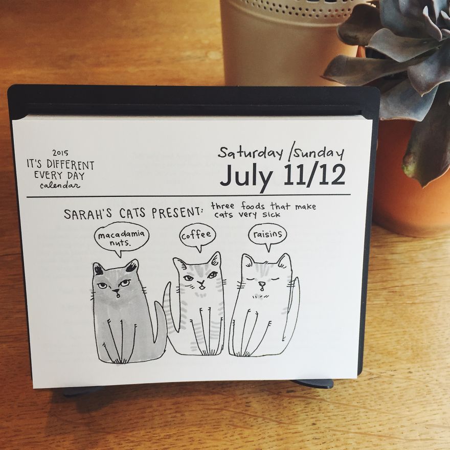 Two Portland Artists Made A Daily Calendar That Changes Every Day Two Portland Artists Made A Daily Calendar That Changes Every Day