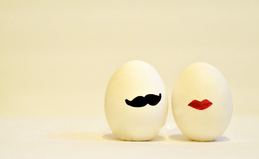 The Secret Life Of Eggs By Mysha Islam