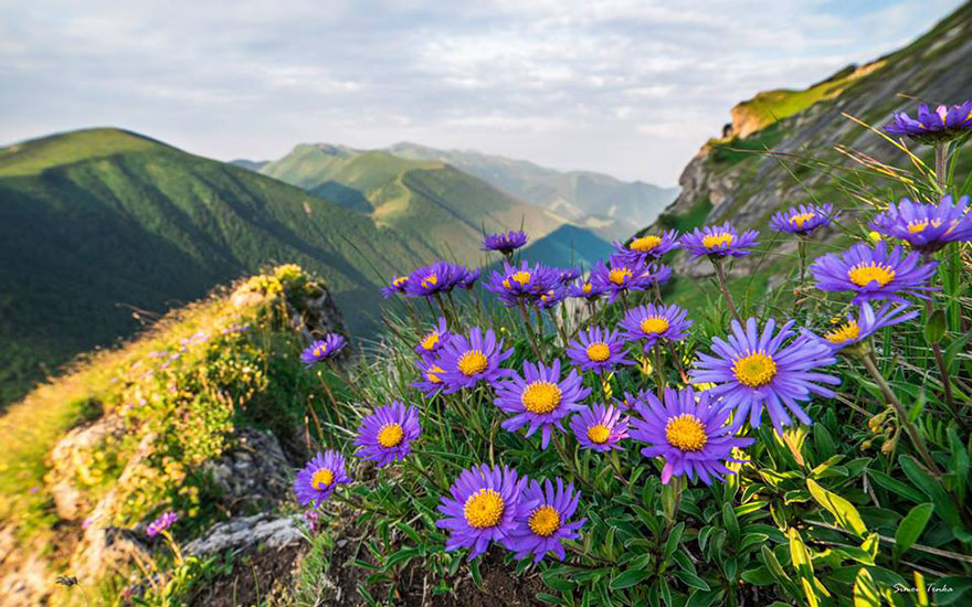 I Have Issues Sleeping At Home, So I Pack My Sleeping Bag And Go To The Mountains I Have Issues Sleeping At Home, So I Pack My Sleeping Bag And Go To The Mountains