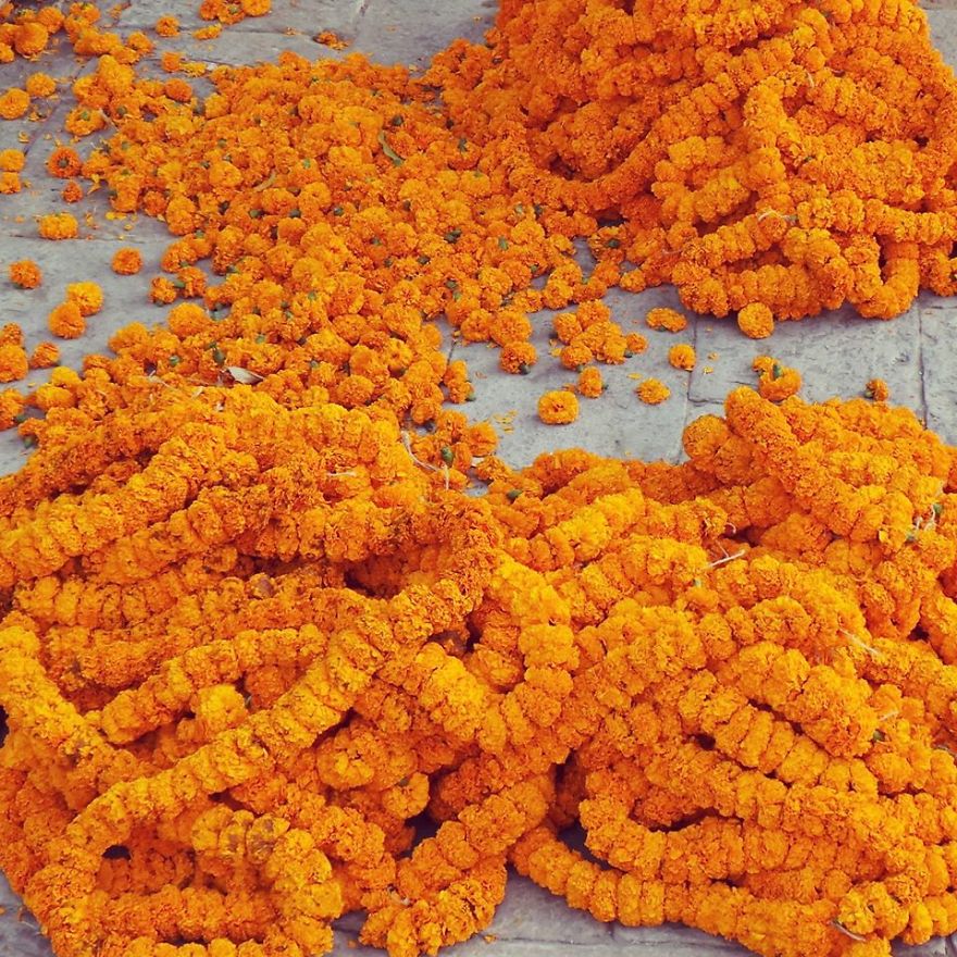 When In India: My Top 10 Tips Tricks, Hidden Gems And Best Places To See When In India: My Top 10 Tips Tricks, Hidden Gems And Best Places To See