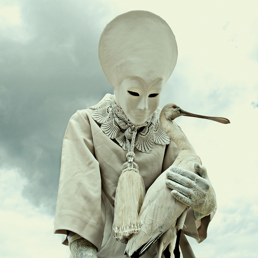 Wounderland: Surreal World Of Imagination, Nightmares And Taxidermy (Part 2)