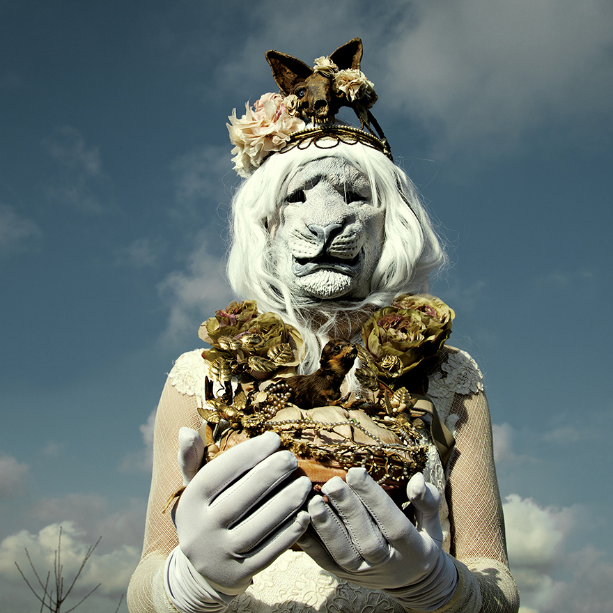 Wounderland: Surreal World Of Imagination, Nightmares And Taxidermy (Part 2)