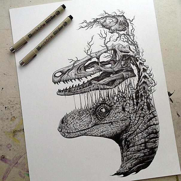 animal-skull-drawings-paul-jackson-1 animal-skull-drawings-paul-jackson-1