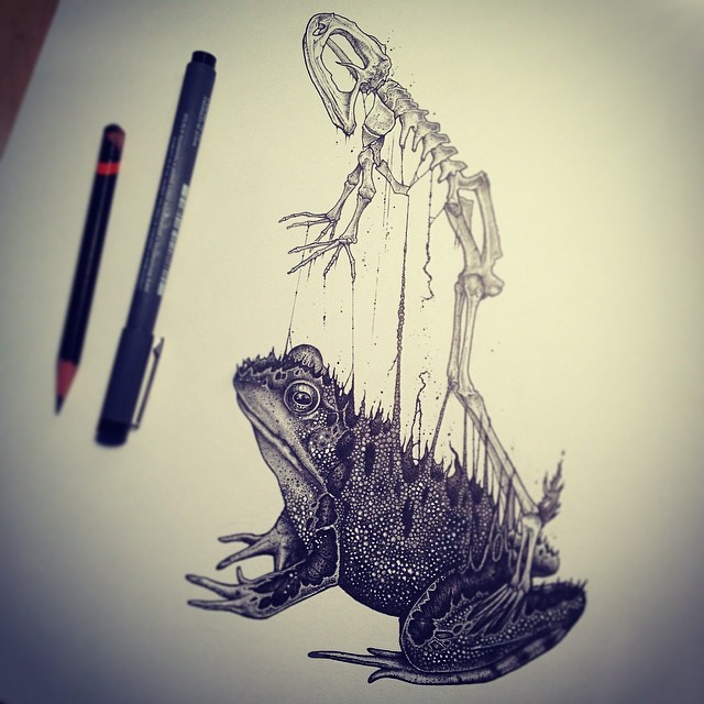 animal-skull-drawings-paul-jackson-3 animal-skull-drawings-paul-jackson-3