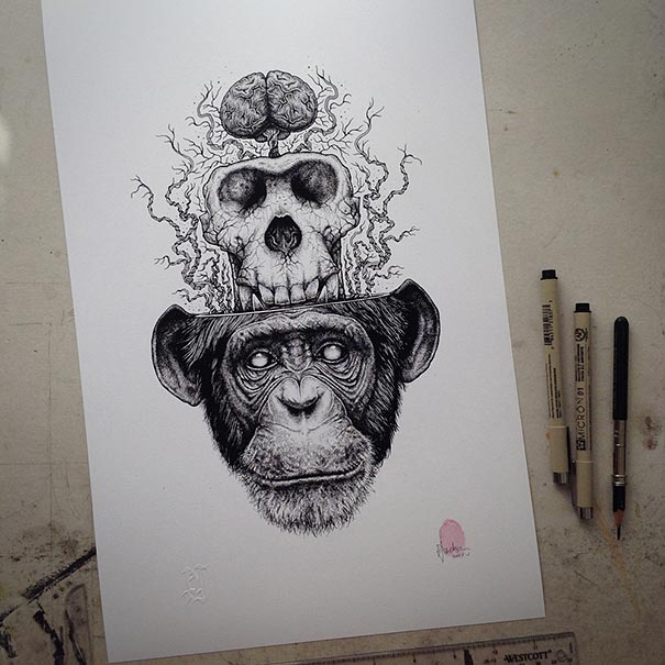 animal-skull-drawings-paul-jackson-5 animal-skull-drawings-paul-jackson-5