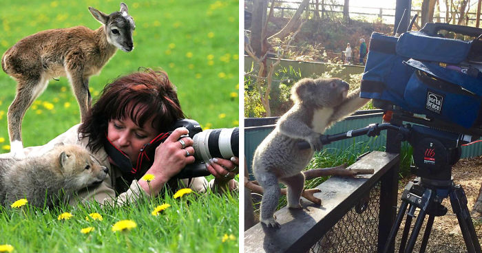 51 Animals That Want To Be Photographers