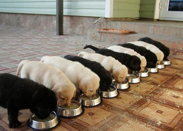 Stick Your Conformist Pattern Where The Sun Doesn't Shine