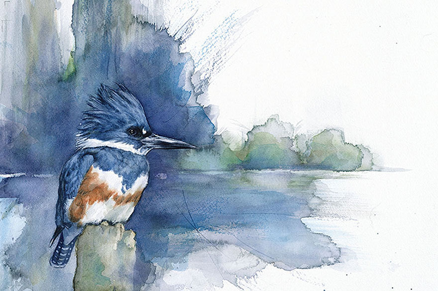bird-watercolor-paintings-anne-balogh-6 bird-watercolor-paintings-anne-balogh-6
