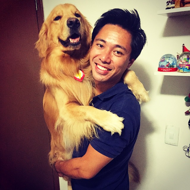 bob-golden-retriever-sao-paulo-47 bob-golden-retriever-sao-paulo-47