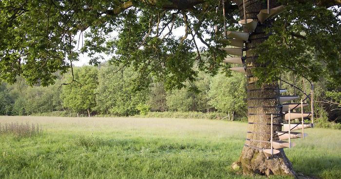 You Can Strap This Spiral Staircase Onto Any Tree Without Tools
