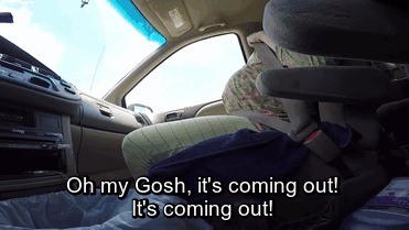 car-birth-lesia-pettijohn-bay-area-birth-center-gif-7 car-birth-lesia-pettijohn-bay-area-birth-center-gif-7