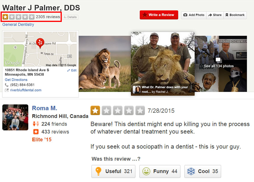 cecil-lion-illegal-hunting-internet-backlash-walter-palmer-zimbabwe-10 cecil-lion-illegal-hunting-internet-backlash-walter-palmer-zimbabwe-10