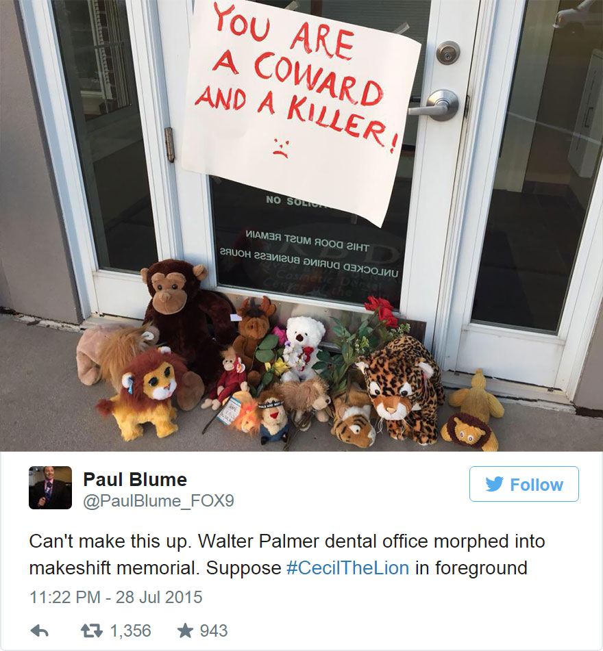 cecil-lion-illegal-hunting-internet-backlash-walter-palmer-zimbabwe-7 cecil-lion-illegal-hunting-internet-backlash-walter-palmer-zimbabwe-7