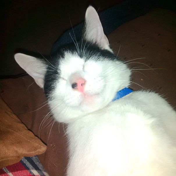 Chilli's Smile/sleep Mode