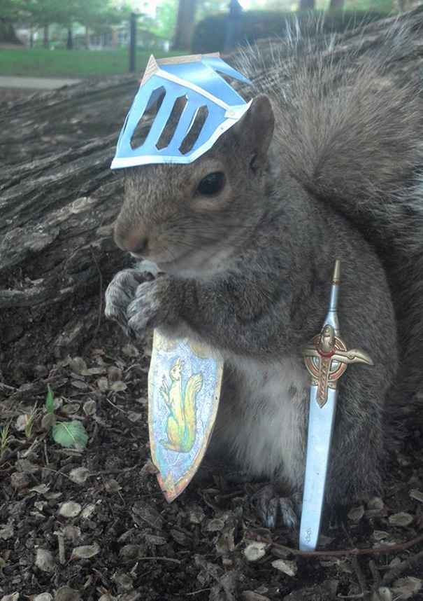 costume-squirrel-whisperer-sneezy-nary-krupa-50 costume-squirrel-whisperer-sneezy-nary-krupa-50