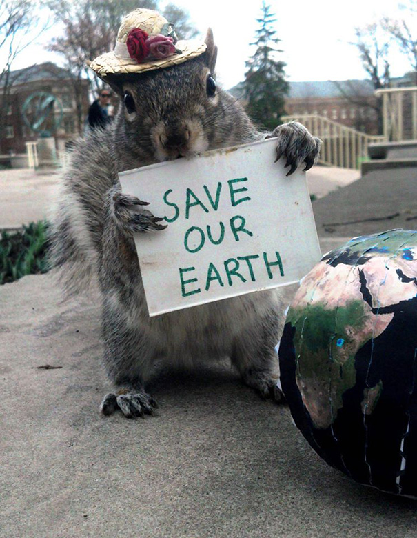 costume-squirrel-whisperer-sneezy-nary-krupa-52