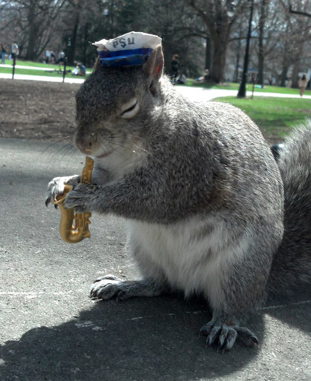 costume-squirrel-whisperer-sneezy-nary-krupa-68