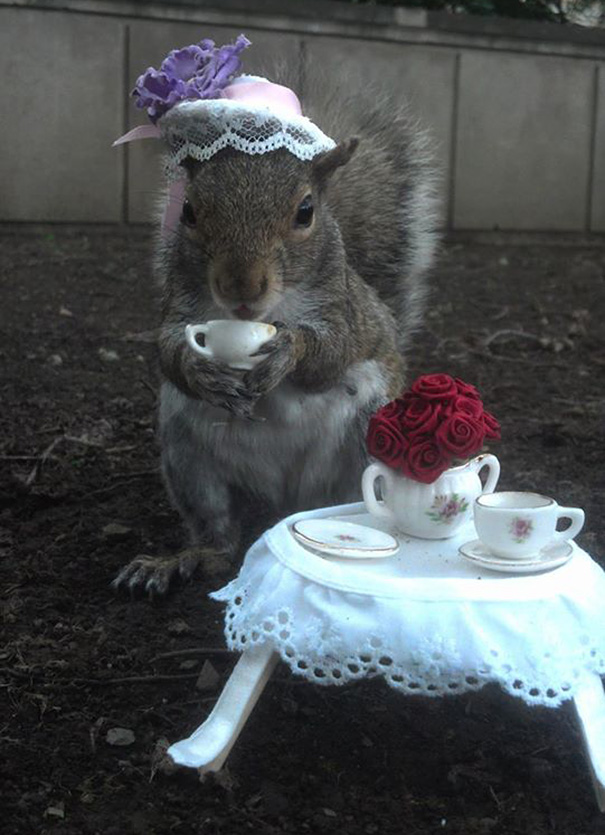 costume-squirrel-whisperer-sneezy-nary-krupa-69