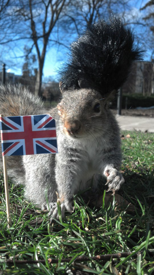 costume-squirrel-whisperer-sneezy-nary-krupa-9