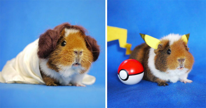 Meet Fuzzberta, The Cutest Cosplayer On Instagram