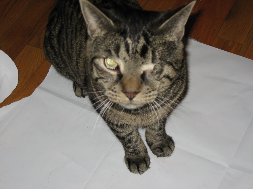 Dr. Awesome, Windsor Terrace, Brooklyn. Missing Eye Due To Herpes.