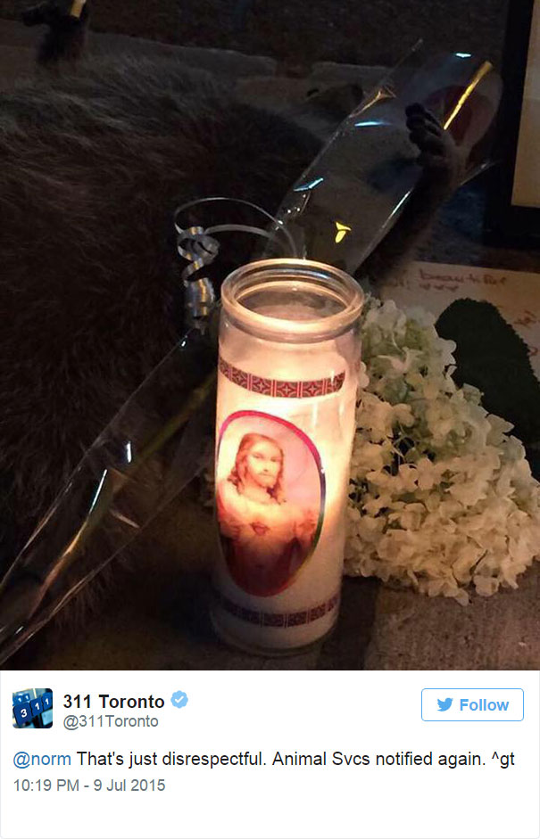 dead-raccoon-memorial-shrine-mourning-deadraccoonto-toronto-14 dead-raccoon-memorial-shrine-mourning-deadraccoonto-toronto-14