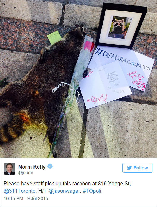dead-raccoon-memorial-shrine-mourning-deadraccoonto-toronto-3 dead-raccoon-memorial-shrine-mourning-deadraccoonto-toronto-3