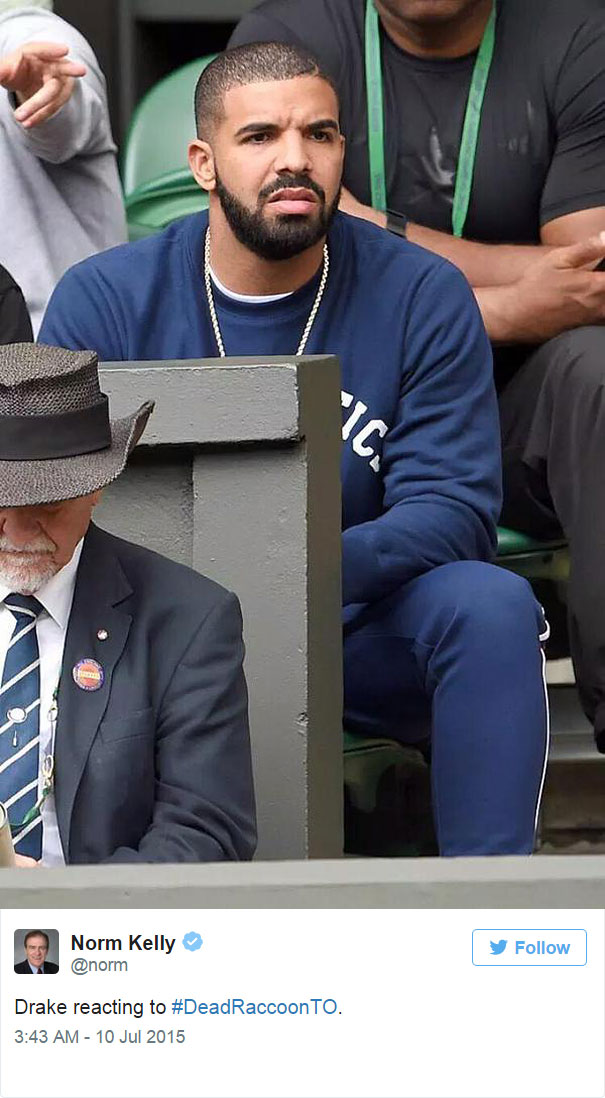dead-raccoon-memorial-shrine-mourning-deadraccoonto-toronto-9 dead-raccoon-memorial-shrine-mourning-deadraccoonto-toronto-9