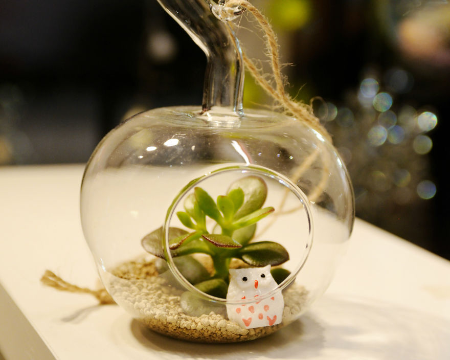 Create Your Own Jurassic Park With Dinosaurs As Plant Holders Create Your Own Jurassic Park With Dinosaurs As Plant Holders