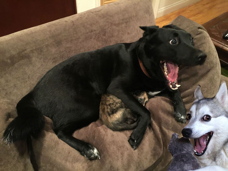 Aawww, Finally We Meet