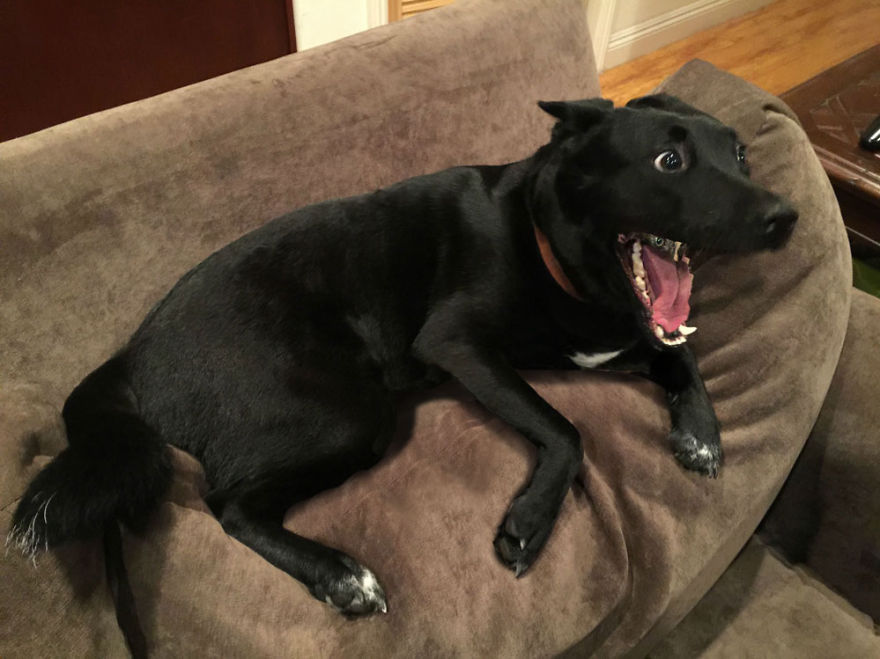 You'll Be Safer In Here, Trust Me