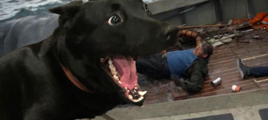 We're Gonna Need A Shorter Leash!