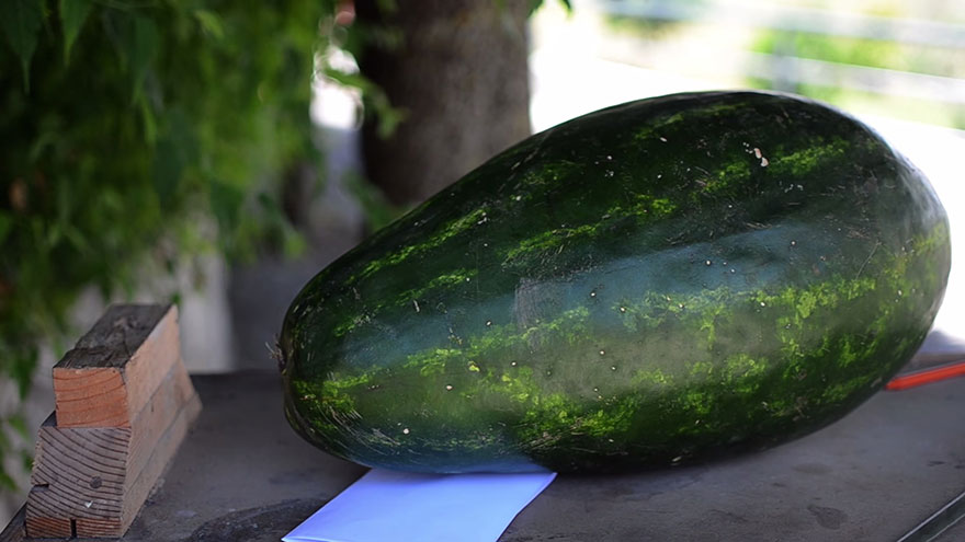 dragon-carving-watermelon-food-art-valeriano-fatica-1 dragon-carving-watermelon-food-art-valeriano-fatica-1