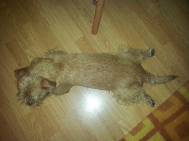 Paddington And The Evening Yoga