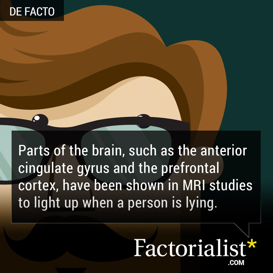 Who Is Lying? Everyone, Actually