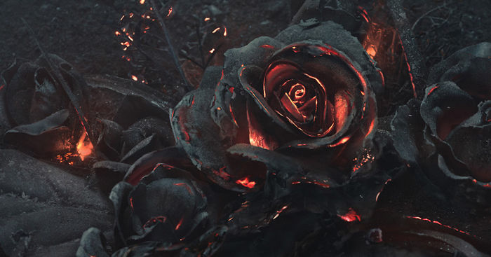 We Created A Bouquet Of Burning Roses