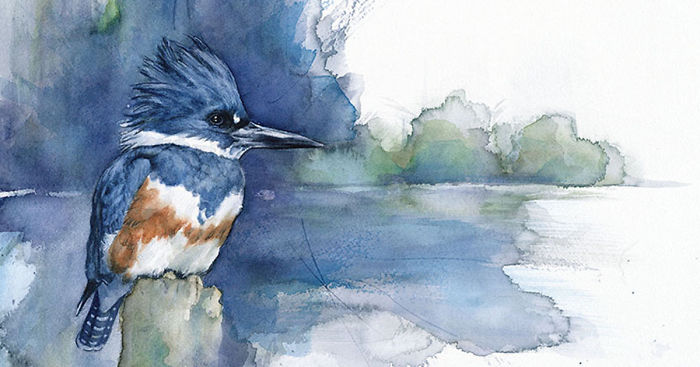 When I’m Not Working As A Biologist, I Paint Watercolor Birds