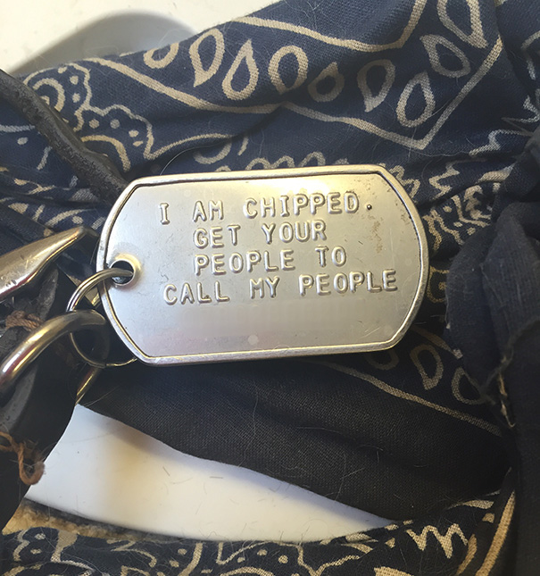 Great Dog Tag