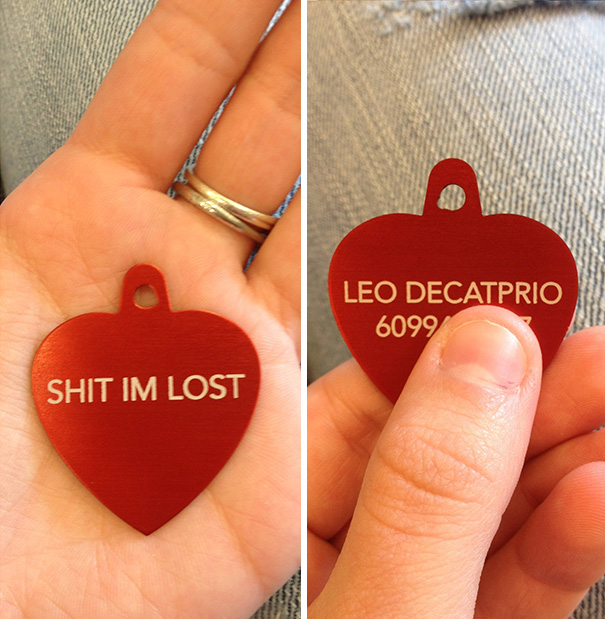 My Cat Got His First Name Tag Today