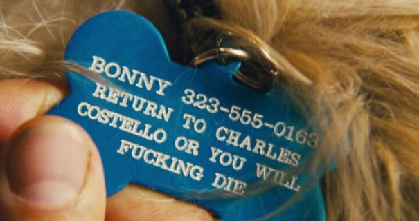 Dog Lover With Attitude